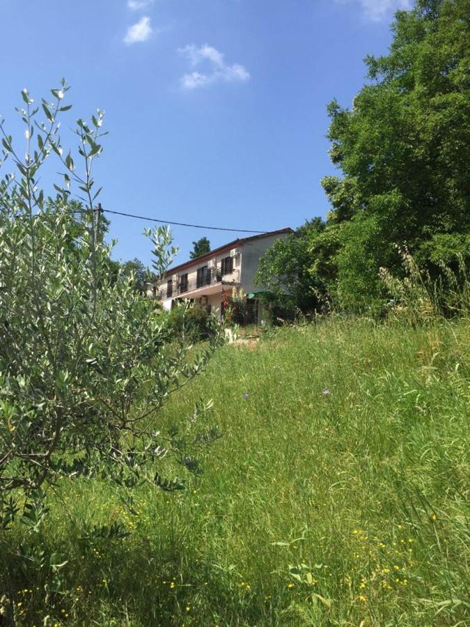 Apartment Dedo, Salara Farmhouse كوبر المظهر الخارجي الصورة