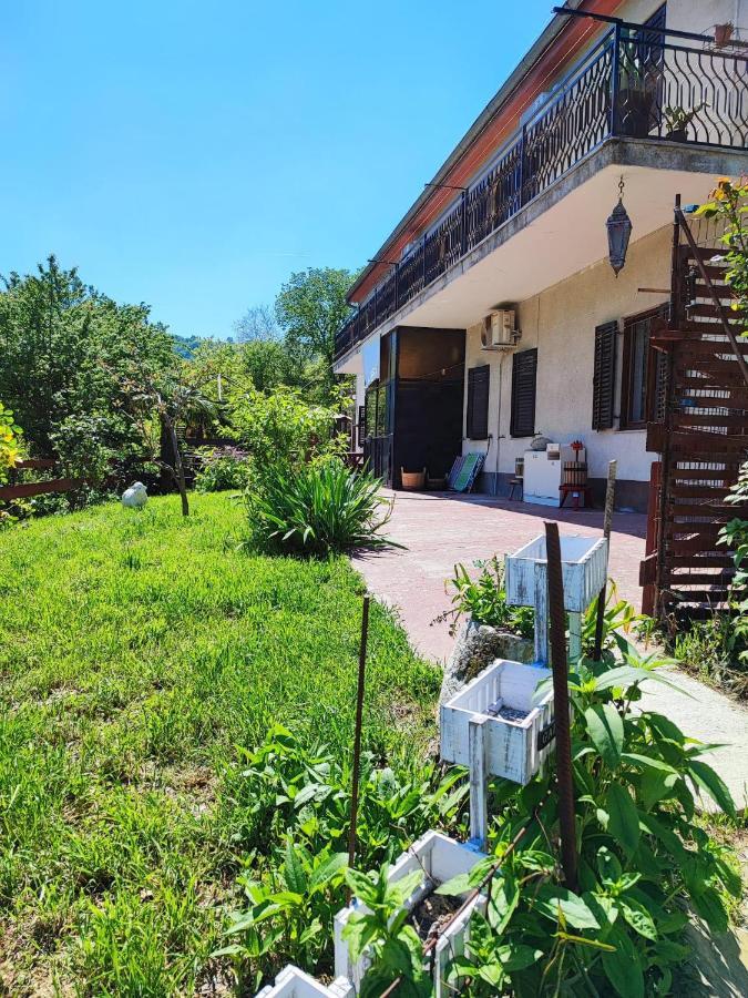 Apartment Dedo, Salara Farmhouse كوبر المظهر الخارجي الصورة